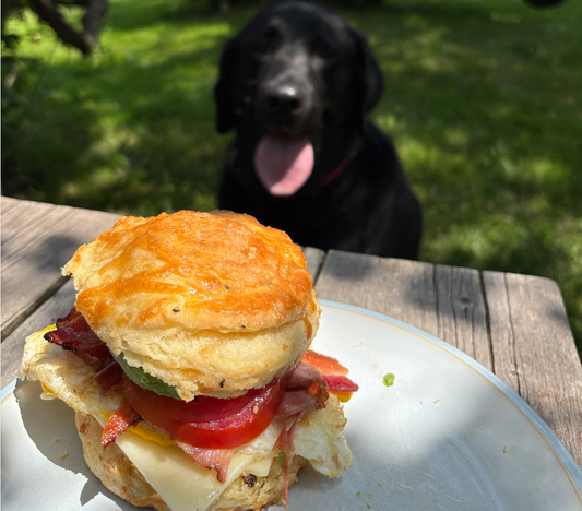 How to Be a Great Cottage Guest